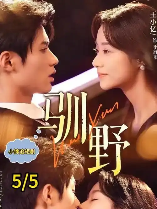 穿书后我嫁给了反派 穿书甜宠短剧海报
